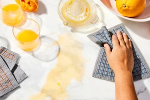 652c38e7-d0e8-4b15-8929-756013673a2e–2021-1129_five-two_compostable-sponges_2x1_rocky-luten_062